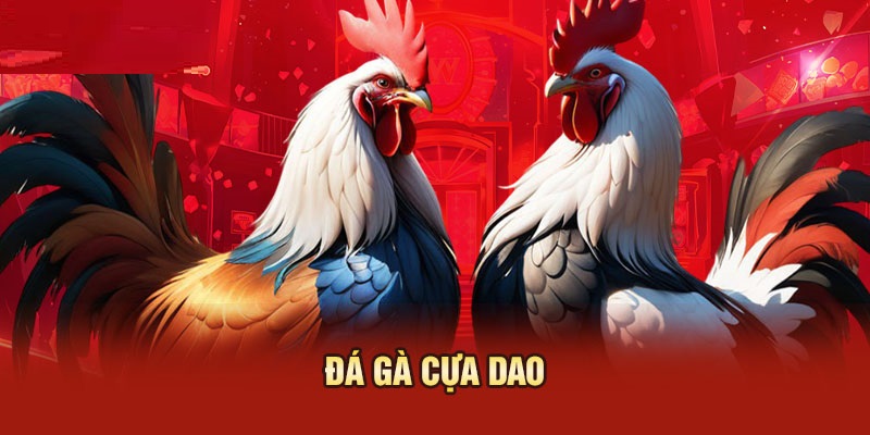 Đá gà cựa dao là hình thức cá cược rất được quan tâm hiện nay