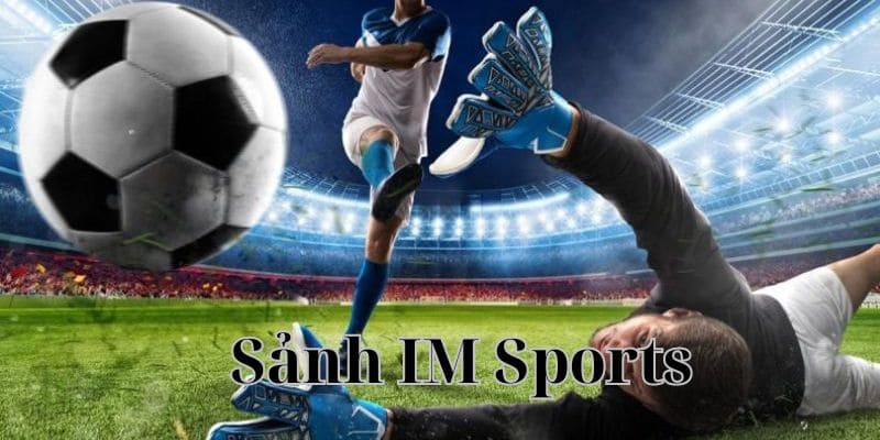Thông tin giới thiệu sảnh IM thể thao đến các cược thủ